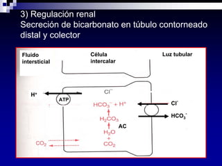 Equilibrio Acido Base Dra Costa