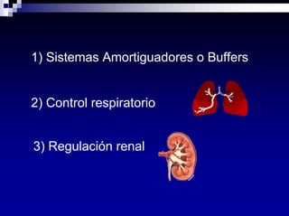 Equilibrio Acido Base Dra Costa