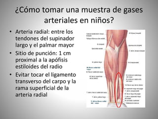 ¿Cómo tomar una muestra de gases
arteriales en niños?
• Arteria radial: entre los
tendones del supinador
largo y el palmar mayor
• Sitio de punción: 1 cm
proximal a la apófisis
estiloides del radio
• Evitar tocar el ligamento
transverso del carpo y la
rama superficial de la
arteria radial
 