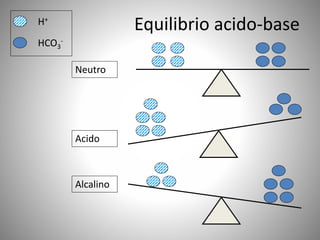 Neutro
H+
HCO3
-
Alcalino
Acido
Equilibrio acido-base
 
