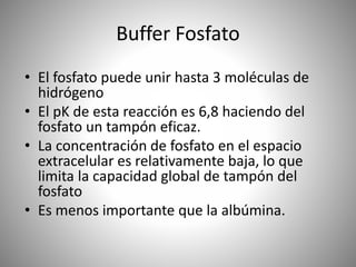 • El fosfato puede unir hasta 3 moléculas de
hidrógeno
• El pK de esta reacción es 6,8 haciendo del
fosfato un tampón eficaz.
• La concentración de fosfato en el espacio
extracelular es relativamente baja, lo que
limita la capacidad global de tampón del
fosfato
• Es menos importante que la albúmina.
Buffer Fosfato
 