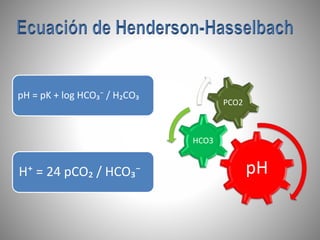 pH
HCO3
PCO2
pH = pK + log HCO₃⁻ / H₂CO₃
H⁺ = 24 pCO₂ / HCO₃⁻
 