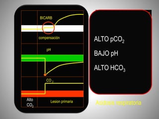 CO ₂ y pH cambian en direcciones
opuestas
Lesion primaria
compensación
pH
CO 2
BICARB
Acidosis respiratoria
ALTO pCO2
BAJO pH
ALTO HCO3
Alto
CO2
 