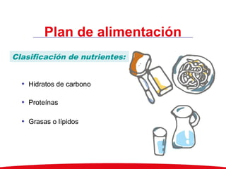 Plan de alimentación
Nutrientes energéticos
• Hidratos de carbono
• Proteínas
• Grasas o lípidos
Nutrientes no energéticos
Clasificación de nutrientes:
 