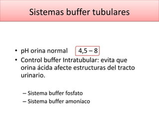 Equilibrio ácido – base | PPTX