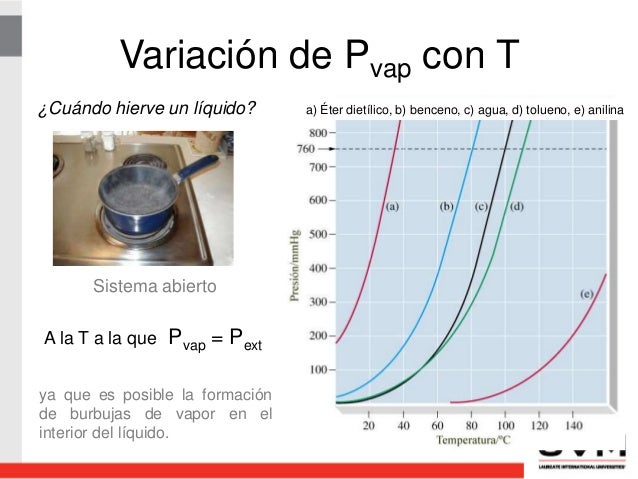 Equilibrio de Fases: Líquido-Vapor