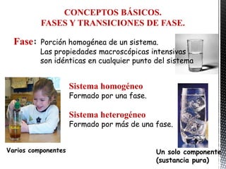 CONCEPTOS BÁSICOS.
          FASES Y TRANSICIONES DE FASE.

  Fase:   Porción homogénea de un sistema.
          Las propiedades macroscópicas intensivas
          son idénticas en cualquier punto del sistema


                     Sistema homogéneo
                     Formado por una fase.

                     Sistema heterogéneo
                     Formado por más de una fase.


Varios componentes                           Un solo componente
                                             (sustancia pura)
 