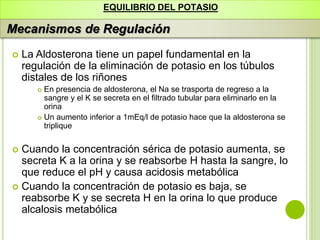 EQUILIBRIO DEL POTASIO
Mecanismos de Regulación
 La Aldosterona tiene un papel fundamental en la
regulación de la eliminación de potasio en los túbulos
distales de los riñones
 En presencia de aldosterona, el Na se trasporta de regreso a la
sangre y el K se secreta en el filtrado tubular para eliminarlo en la
orina
 Un aumento inferior a 1mEq/l de potasio hace que la aldosterona se
triplique
 Cuando la concentración sérica de potasio aumenta, se
secreta K a la orina y se reabsorbe H hasta la sangre, lo
que reduce el pH y causa acidosis metabólica
 Cuando la concentración de potasio es baja, se
reabsorbe K y se secreta H en la orina lo que produce
alcalosis metabólica
 