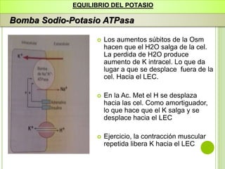 EQUILIBRIO DEL POTASIO
Bomba Sodio-Potasio ATPasa
 Los aumentos súbitos de la Osm
hacen que el H2O salga de la cel.
La perdida de H2O produce
aumento de K intracel. Lo que da
lugar a que se desplace fuera de la
cel. Hacia el LEC.
 En la Ac. Met el H se desplaza
hacia las cel. Como amortiguador,
lo que hace que el K salga y se
desplace hacia el LEC
 Ejercicio, la contracción muscular
repetida libera K hacia el LEC
 