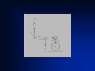 Equilibrio e alavancas