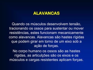 ALAVANCAS
Quando os músculos desenvolvem tensão,
tracionando os ossos para sustentar ou mover
resistências, estes funcionam mecanicamente
como alavancas. Alavancas são hastes rígidas
que podem girar em torno de um eixo sob a
ação de forças.
No corpo humano os ossos são as hastes
rígidas, as articulções são os eixos e os
músculos e cargas resistentes aplicam forças.

 