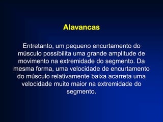 Alavancas
Entretanto, um pequeno encurtamento do
músculo possibilita uma grande amplitude de
movimento na extremidade do segmento. Da
mesma forma, uma velocidade de encurtamento
do músculo relativamente baixa acarreta uma
velocidade muito maior na extremidade do
segmento.
 