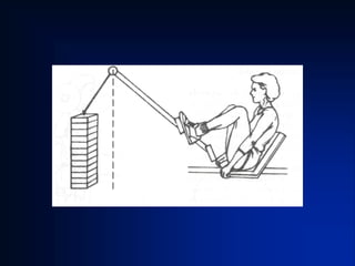 equilibrio_e_alavancas.pdf para estudar e