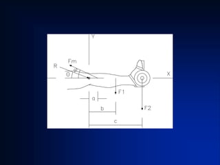 equilibrio_e_alavancas.pdf para estudar e