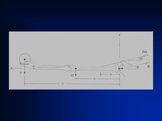 equilibrio_e_alavancas.pdf para estudar e