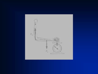 equilibrio_e_alavancas.pdf para estudar e