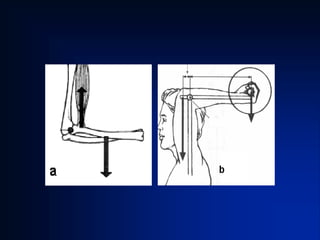 equilibrio_e_alavancas.pdf para estudar e