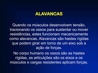 ALAVANCAS
Quando os músculos desenvolvem tensão,
tracionando os ossos para sustentar ou mover
resistências, estes funcionam mecanicamente
como alavancas. Alavancas são hastes rígidas
que podem girar em torno de um eixo sob a
ação de forças.
No corpo humano os ossos são as hastes
rígidas, as articulções são os eixos e os
músculos e cargas resistentes aplicam forças.
 