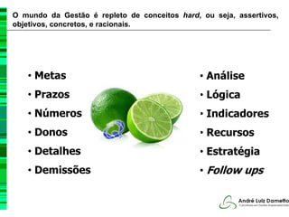 O mundo da Gestão é repleto de conceitos hard, ou seja, assertivos,
objetivos, concretos, e racionais.




   • Metas                                     • Análise
   • Prazos                                    • Lógica
   • Números                                   • Indicadores
   • Donos                                     • Recursos
   • Detalhes                                  • Estratégia
   • Demissões                                 • Follow ups
 