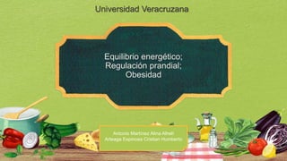Equilibrio energético;
Regulación prandial;
Obesidad
Antonio Martínez Alina Alhelí
Arteaga Espinosa Cristian Humberto
Universidad Veracruzana
 