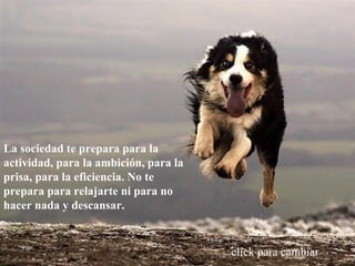 La sociedad te prepara para la actividad, para la ambición, para la prisa, para la eficiencia. No te prepara para relajarte ni para no hacer nada y descansar. click para cambiar  