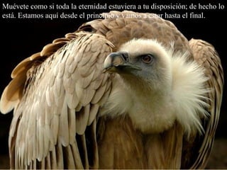 Muévete como si toda la eternidad estuviera a tu disposición; de hecho lo
está. Estamos aquí desde el principio y vamos a estar hasta el final.
 