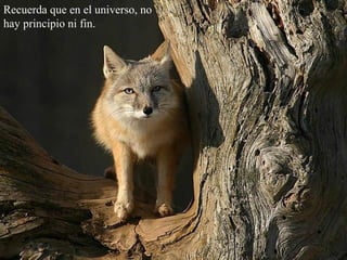 Recuerda que en el universo, no
hay principio ni fin.
 