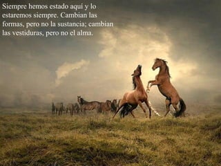 Siempre hemos estado aquí y lo
estaremos siempre. Cambian las
formas, pero no la sustancia; cambian
las vestiduras, pero no el alma.
 