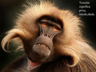 Tensión
significa
prisa,
miedo,duda.
 