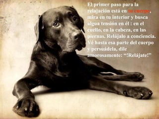 El primer paso para la
relajación está en tu cuerpo,
mira en tu interior y busca
algua tensión en él : en el
cuello, en la cabeza, en las
piernas. Relájalo a conciencia.
Vé hasta esa parte del cuerpo
y persuádela, dile
amorosamente: “!Relájate!”
 