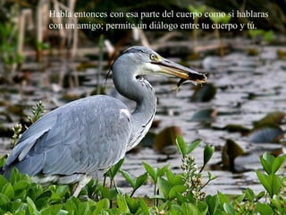 Habla entonces con esa parte del cuerpo como si hablaras
con un amigo; permite un diálogo entre tu cuerpo y tú.
 