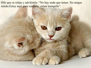 Dile que se relaje y adviértele: “No hay nada que temer. No tengas
miedo.Estoy aquí para cuidarte; estate tranquilo”.
 
