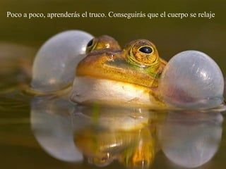 Poco a poco, aprenderás el truco. Conseguirás que el cuerpo se relaje
 