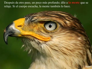 Después da otro paso, un poco más profundo; dile a la mentela mente que se
relaje. Si el cuerpo escucha, la mente también lo hace.
 