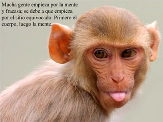 Mucha gente empieza por la mente
y fracasa; se debe a que empieza
por el sitio equivocado. Primero el
cuerpo, luego la mente.
 