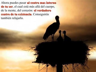 Ahora puedes pasar al centro mas internoal centro mas interno
de tu serde tu ser, el cual está más allá del cuerpo,
de la mente, del corazón: el verdaderoel verdadero
centro de tu existenciacentro de tu existencia. Conseguirás
también relajarlo.
 