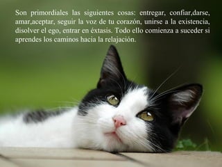 Son primordiales las siguientes cosas: entregar, confiar,darse,
amar,aceptar, seguir la voz de tu corazón, unirse a la existencia,
disolver el ego, entrar en éxtasis. Todo ello comienza a suceder si
aprendes los caminos hacia la relajación.
 