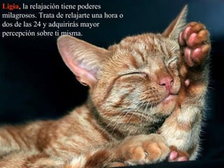 Ligia, la relajación tiene poderes
milagrosos. Trata de relajarte una hora o
dos de las 24 y adquirirás mayor
percepción sobre ti misma.
 