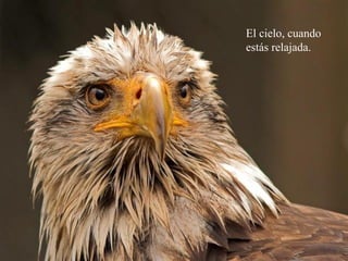 El cielo, cuando
estás relajada.
 