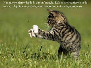 Hay que relajarse desde la circunferencia. Relaja la circunferencia de
tu ser, relaja tu cuerpo, relaja tu comportamiento, relaja tus actos.
 