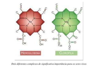 Dois diferentes complexos de significativa importância para os seres vivos
 