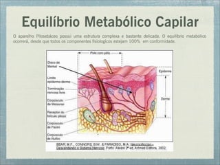 Equilíbrio Metabólico Capilar
O aparelho Pilosebáceo possui uma estrutura complexa e bastante delicada. O equilíbrio metabólico
ocorrerá, desde que todos os componentes fisiologicos estejam 100% em conformidade.
 