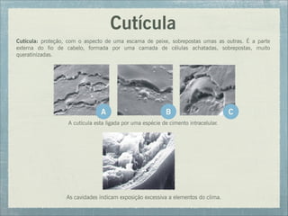 Cutícula
Cutícula: proteção, com o aspecto de uma escama de peixe, sobrepostas umas as outras. É a parte
externa do fio de cabelo, formada por uma camada de células achatadas, sobrepostas, muito
queratinizadas.
A cutícula esta ligada por uma espécie de cimento intracelular.
As cavidades indicam exposição excessiva a elementos do clima.
A B C
 