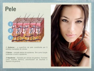 1 Epiderme – a superfície da pele constituída por 5
extratos (camadas) de células.
2 Derme – camada abaixo da epiderme. Tem como função
sustentar e nutrir a epiderme.
3 Hipoderme – formada por células de gordura. Funciona
como isolante térmico, amortecedor de traumas e
depósito de gordura.
Pele
1
2
3
 