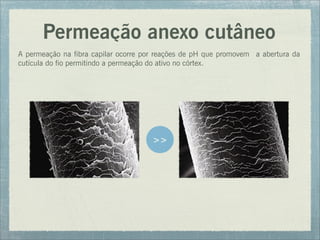 Permeação anexo cutâneo
A permeação na fibra capilar ocorre por reações de pH que promovem a abertura da
cutícula do fio permitindo a permeação do ativo no córtex.
>>
 