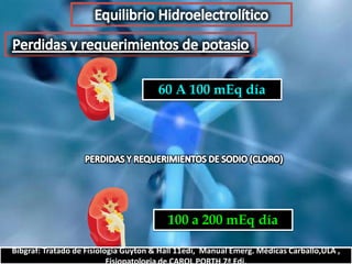 60 A 100 mEq día




 100 a 200 mEq día

                     Prof. Dr. Luis del Rio Diez
 