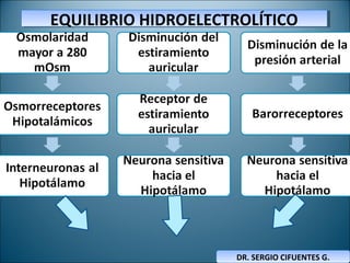 EQUILIBRIO HIDROELECTROLÍTICOEQUILIBRIO HIDROELECTROLÍTICO
DR. SERGIO CIFUENTES G.DR. SERGIO CIFUENTES G.
 