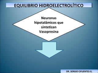 EQUILIBRIO HIDROELECTROLÍTICOEQUILIBRIO HIDROELECTROLÍTICO
DR. SERGIO CIFUENTES G.DR. SERGIO CIFUENTES G.
Neuronas
hipotalámicos que
sintetizan
Vasopresina
 