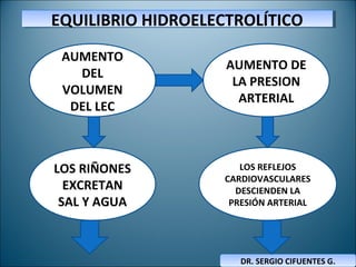 EQUILIBRIO HIDROELECTROLÍTICOEQUILIBRIO HIDROELECTROLÍTICO
DR. SERGIO CIFUENTES G.DR. SERGIO CIFUENTES G.
AUMENTO
DEL
VOLUMEN
DEL LEC
AUMENTO DE
LA PRESION
ARTERIAL
LOS RIÑONES
EXCRETAN
SAL Y AGUA
LOS REFLEJOS
CARDIOVASCULARES
DESCIENDEN LA
PRESIÓN ARTERIAL
 