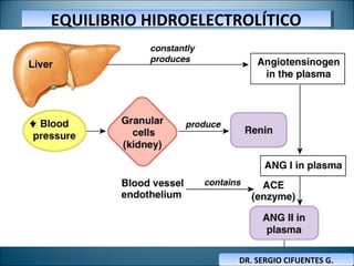 EQUILIBRIO HIDROELECTROLÍTICOEQUILIBRIO HIDROELECTROLÍTICO
DR. SERGIO CIFUENTES G.DR. SERGIO CIFUENTES G.
 